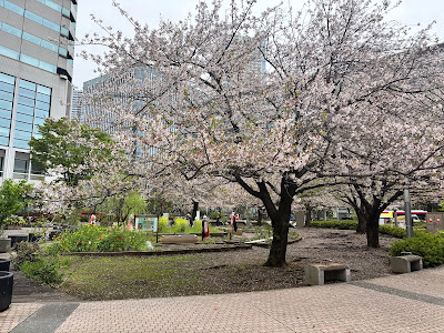 Harumi No. 3 Park 사진 3