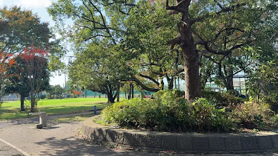 가이라쿠 공원 사진 2