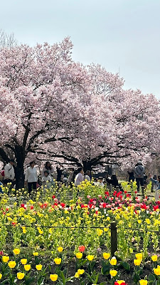 로카코슌엔 사진 3