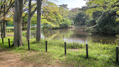 쇼우군이케 공원 사진 2