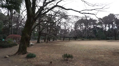 도쿄도 메구로 구립 코마바 공원 사진 2