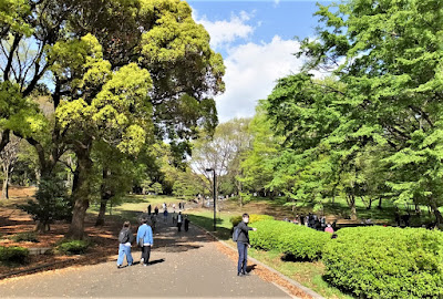 Hill Plaza 사진 4