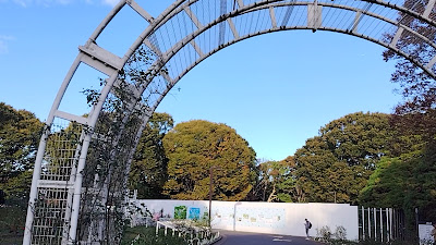 Rose Garden 사진 2