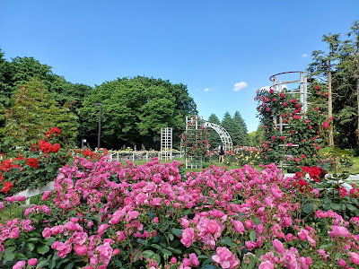 Rose Garden 사진 3