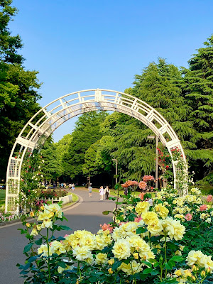 Rose Garden 사진 4