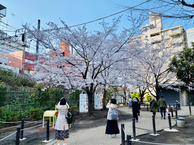 Jingū-dōri Park 사진 3