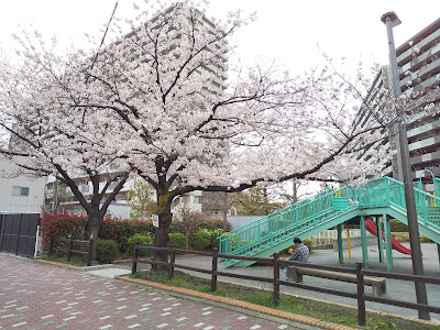 하마조노 공원 사진 4