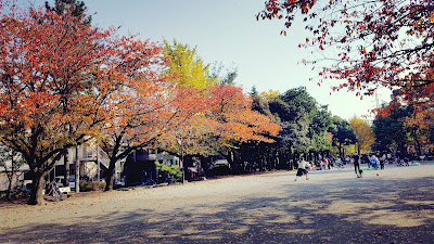 타키노 공원 사진 5