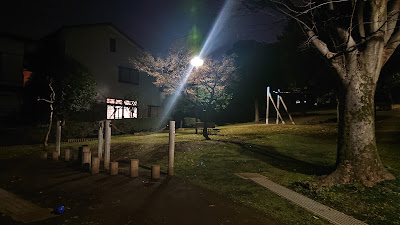 아동공원 (롤러 공원) 사진 5