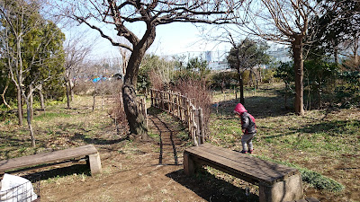 키타노 츄오 공원 사진 3