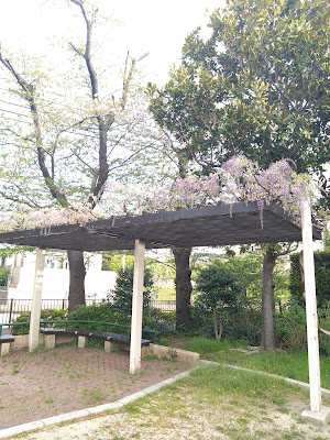 잇폰바시 공원 사진 3