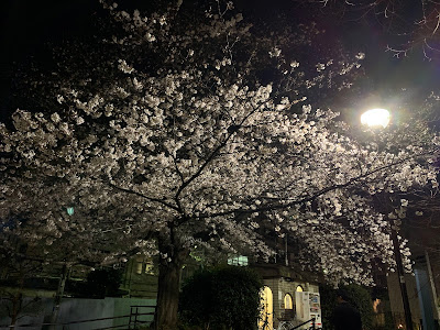 사사즈카히가시 공원 사진 5