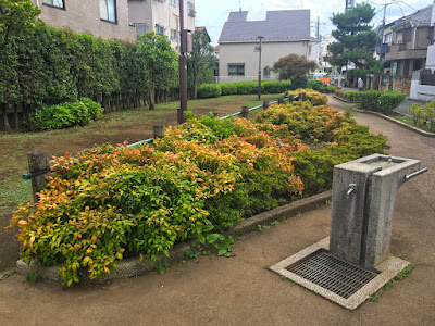 오오하라 카루가모 공원 사진 4