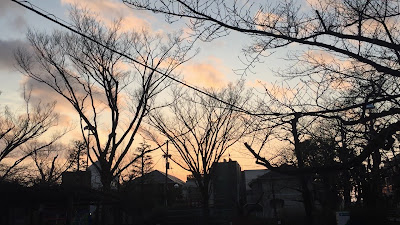시부야구립 요요기 오야마 공원 사진 2