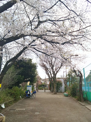 요요기니시하라 공원 사진 5