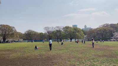 중앙 광장 사진 2