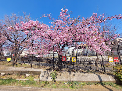 산구바시 공원 사진 3