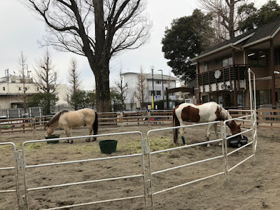 시부야구립 요요기 포니 공원 사진 3