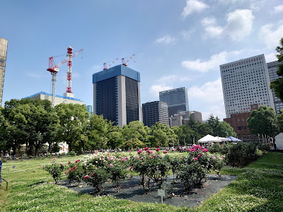Flowerbed 2 사진 4