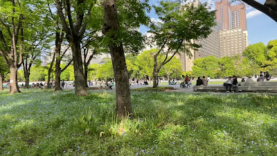 Flowerbed 2 사진 2