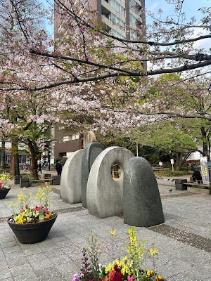 사쿠라가와 공원 사진 3