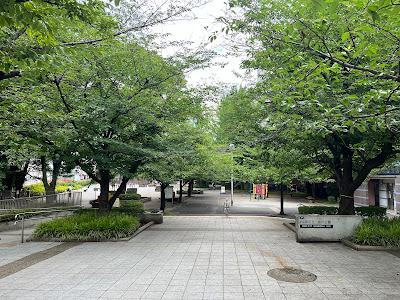 사쿠라가와 공원 사진 4