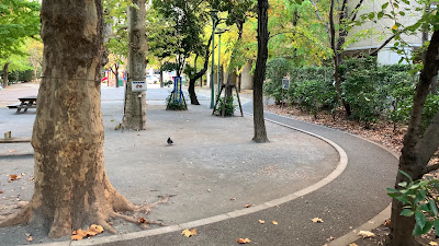 쿄바시 공원 사진 2