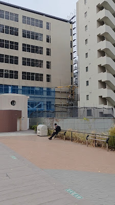 모미지가와큐안바시 공원 사진 2
