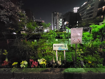 카에데가와 신토미바시 공원 사진 4