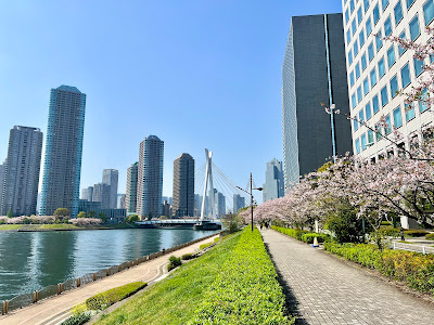 Shinkawa Park 사진 3