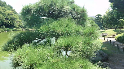 키요스미 공원 사진 2