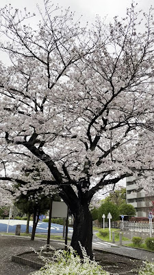 죠토 공원 사진 2