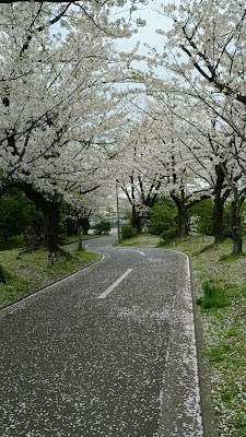 스나마치바시 공원 사진 2