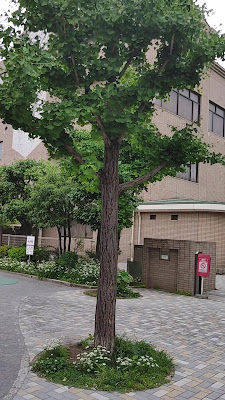 키타스나 공원 사진 2