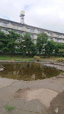 사카이가와 공원 사진 5
