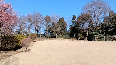 Mure-no-sato Park 사진 2