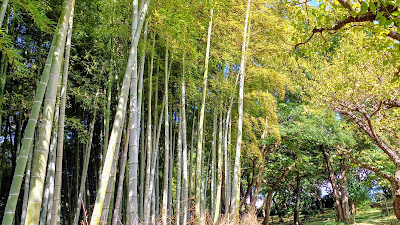 Mure-no-sato Park 사진 5