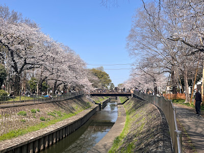 Suginami Children's Traffic Park 사진 5