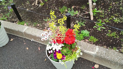 신주쿠 중앙공원 구민의숲 사진 2