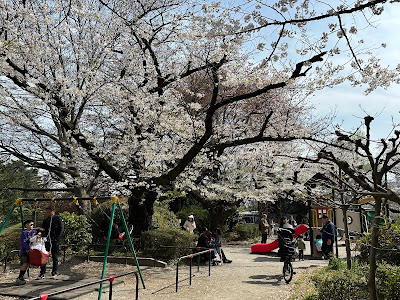 Hanzōmon Kids Pond 사진 3