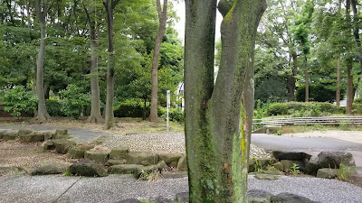 사루에온시 공원 사진 2