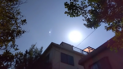 사루비아 공원 사진 2