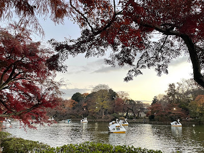 Inokashira Park Daini Park 사진 3