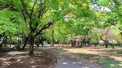 Inokashira Park Daini Park 사진 5