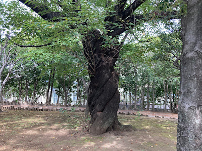츄오니시 공원 사진 4