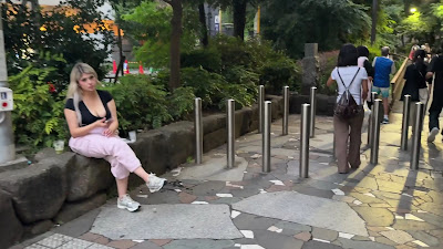 신주쿠 산책로 공원(사계의 길) 사진 2