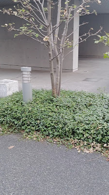 이치가야 후나가와라마치 공원 사진 2