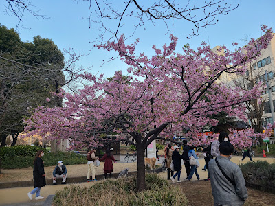 긴시공원 사진 3