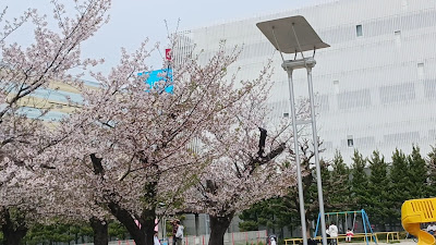 긴시공원 사진 2