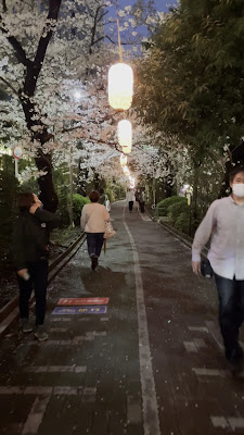 Kameidoryokudo Park 사진 2